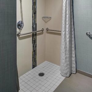 King Room Sofa Bed Accessible Tub Disability Access
